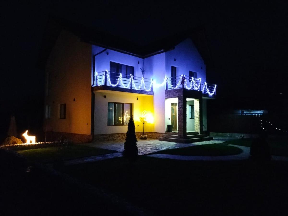 Pensiunea Casa Nusa Baia de Fier Exterior foto