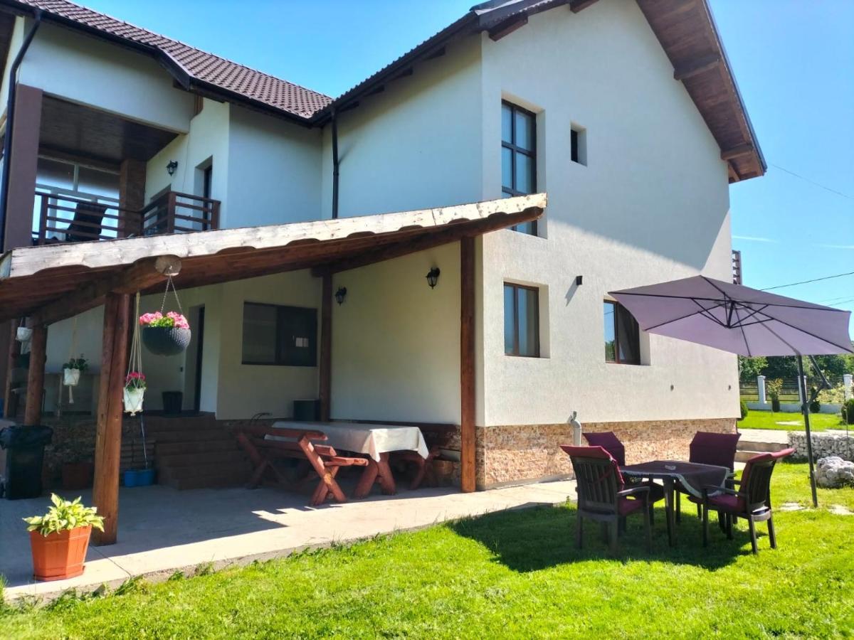 Pensiunea Casa Nusa Baia de Fier Exterior foto
